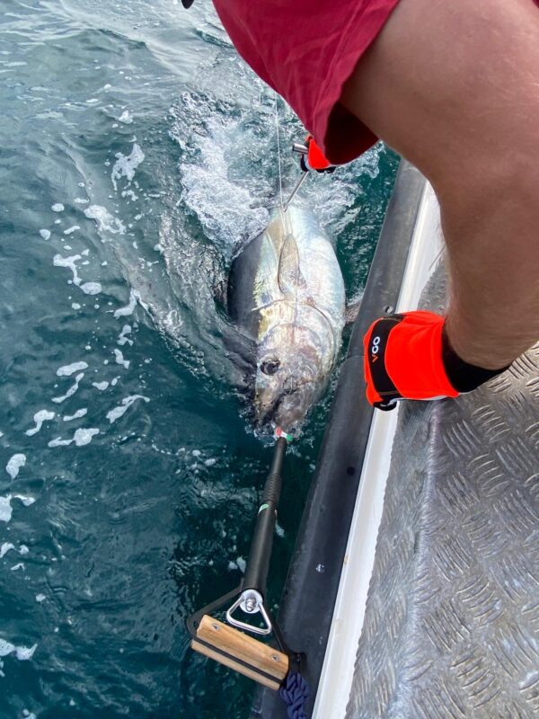 Bluefin Tuna Fishing in Devon card image