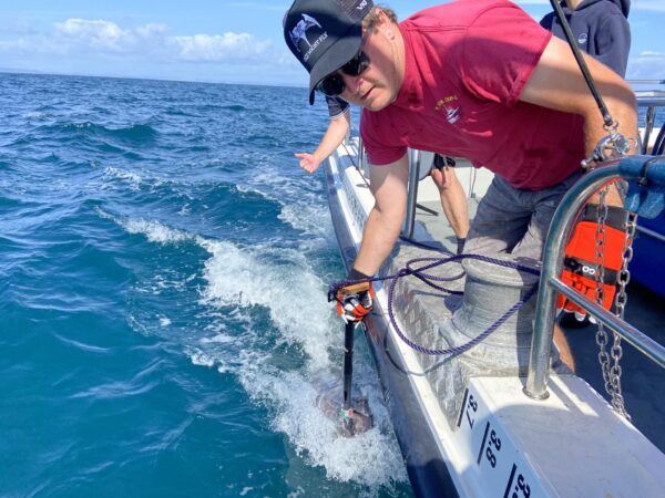 Bluefin Tuna on Gaff with Shaun