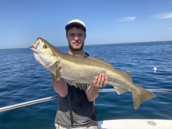 Pollack Fishing card image